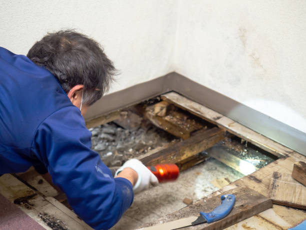 Water Damage Restoration in Guntersville, AL