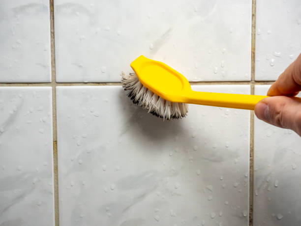 Best Affordable Mold Removal  in Guntersville, AL
